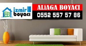 Aliağa Boyacı Ustası