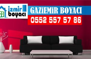 Gaziemir Boyacı Ustası