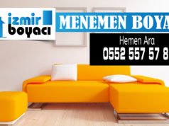 Menemen Boyacı Ustası