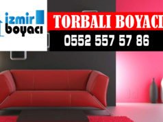 Torbalı Boyacı Ustası