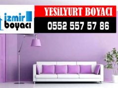 Yeşilyurt Boyacı Ustası